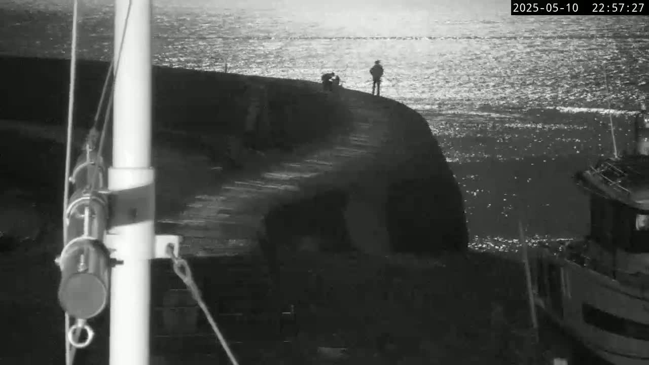 A nighttime, low-light grayscale image shows several people standing on a dark, rocky outcropping next to a body of water with a small boat in the background; the water is slightly wavy.