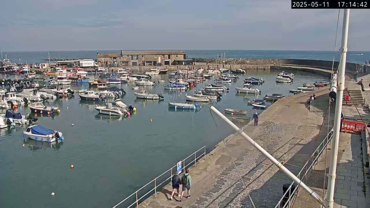A harbor filled with numerous boats on a sunny day.