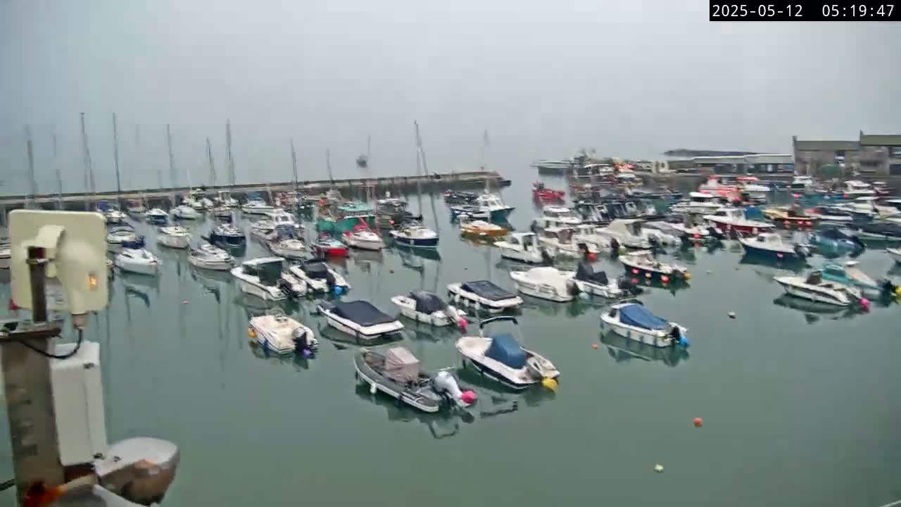 Many boats are docked in a harbor on an overcast day.