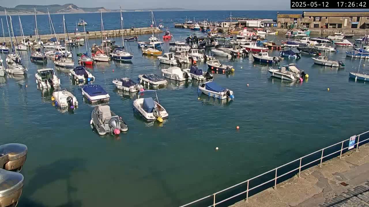 A harbor filled with numerous boats on a sunny day, with calm water and a distant view of land.