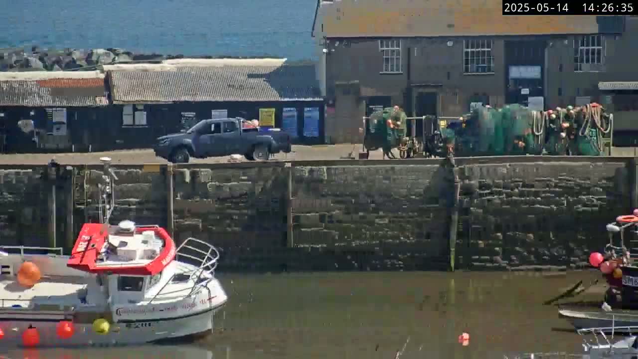 A sunny harbor scene shows a gray pickup truck, several people near fishing nets, a white boat with a red top, and a stone wall separating the land from the water.