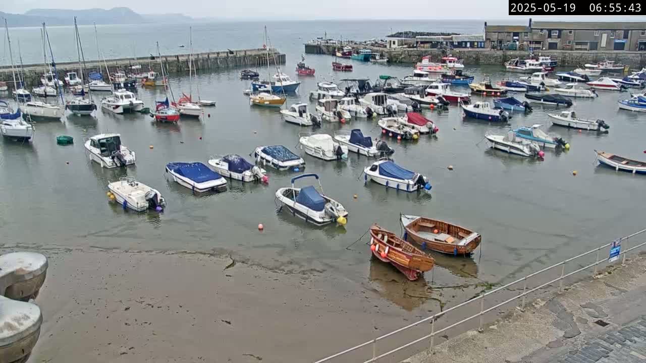 Lyme Regis Harbour Live Cam - Lyme Regis, Dorset, South West, England, United Kingdom