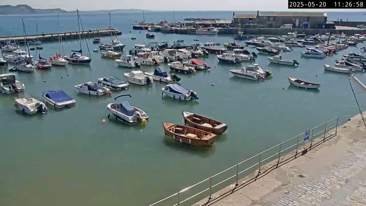 Numerous boats are moored in a harbor on a sunny day.