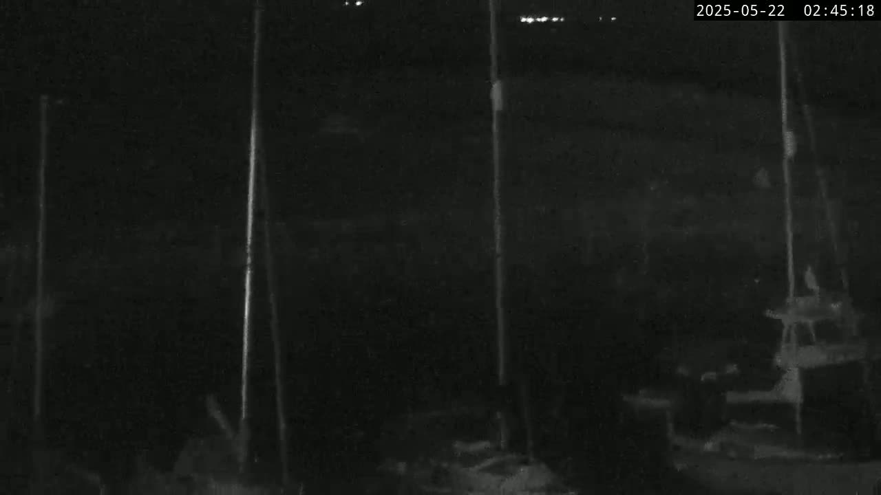 A nighttime, low-light image shows several vertical poles and indistinct shapes suggesting boats or structures in a dark, possibly outdoor setting.