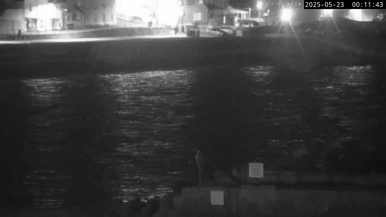 A nighttime, low-light image shows a dark body of water with slight waves lapping against a low wall near a dimly lit shoreline with buildings in the background.