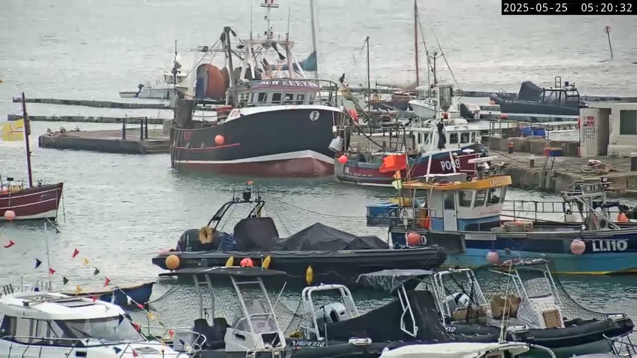 Lyme Regis Harbour Live Cam - Lyme Regis, Dorset, South West, England, United Kingdom