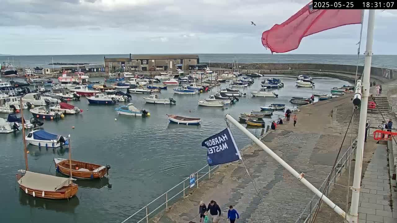 A harbor filled with numerous boats under a cloudy sky, with several people walking along a nearby paved area.