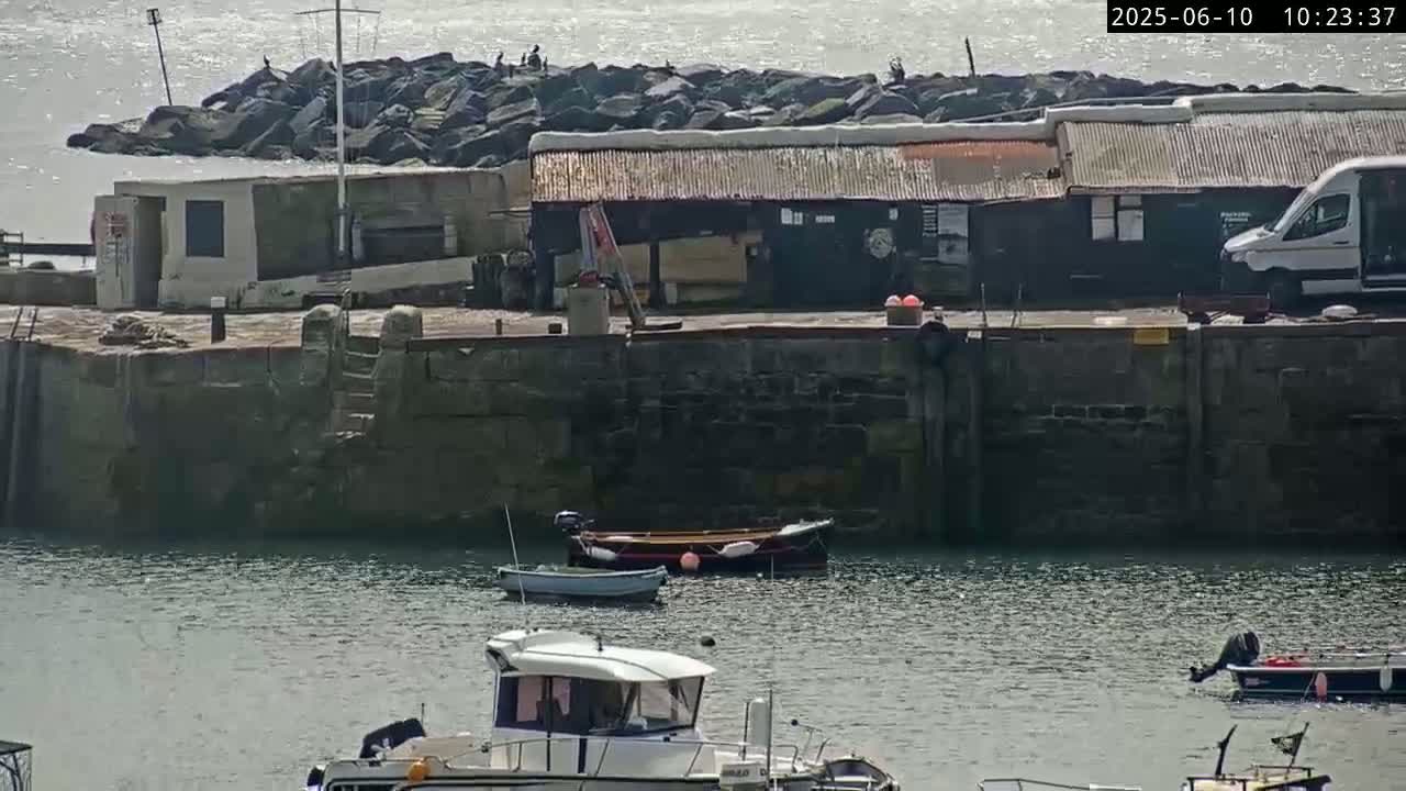 A small harbor with several boats in calm water, a stone wall, and a few buildings under a sunny sky.