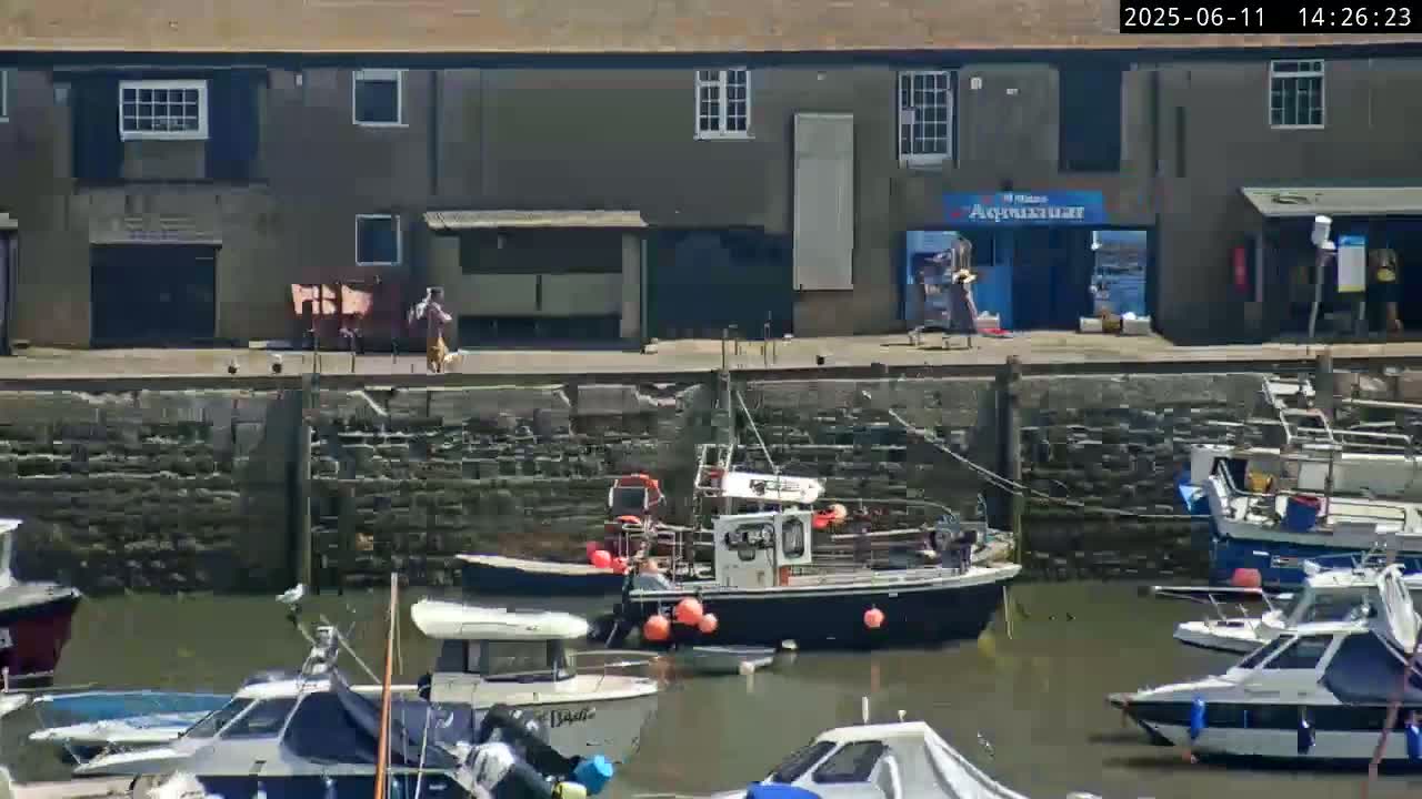 A sunny harbor scene shows several boats moored alongside a stone wall and building, with two people walking a dog on the quay.