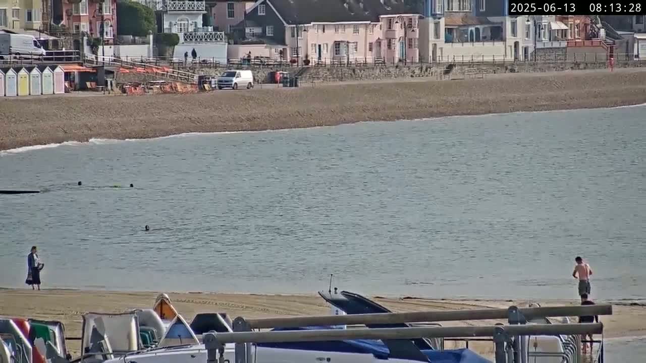 A calm body of water laps a sandy beach near a row of houses on a sunny day, with several people swimming and walking along the shore.