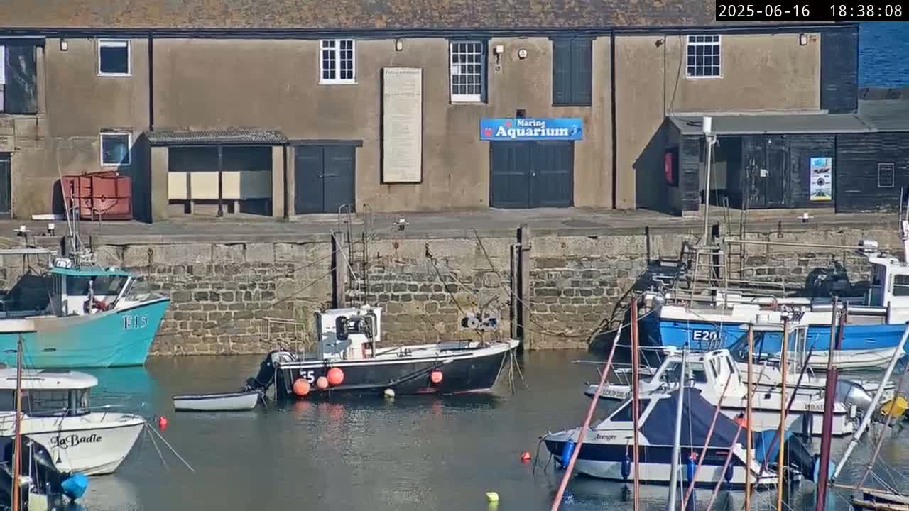 Several fishing boats are moored in a harbor next to a stone building on a sunny day.
