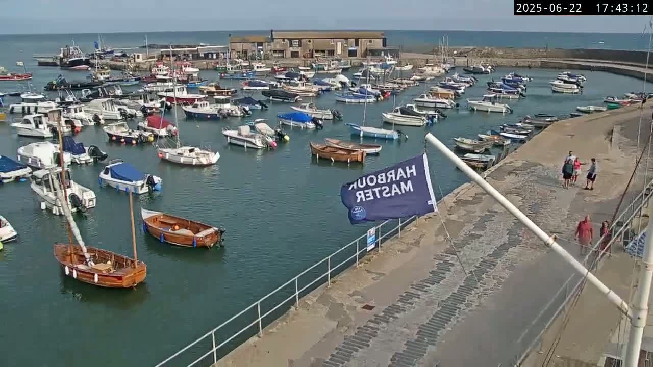 Many boats are moored in a harbor on a sunny day.