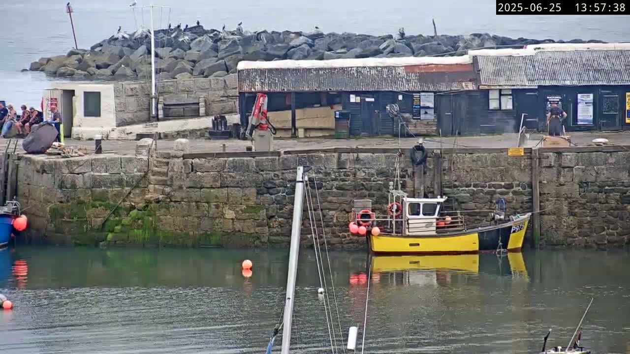 Lyme Regis Harbour Live Cam - Lyme Regis, Dorset, South West, England, United Kingdom