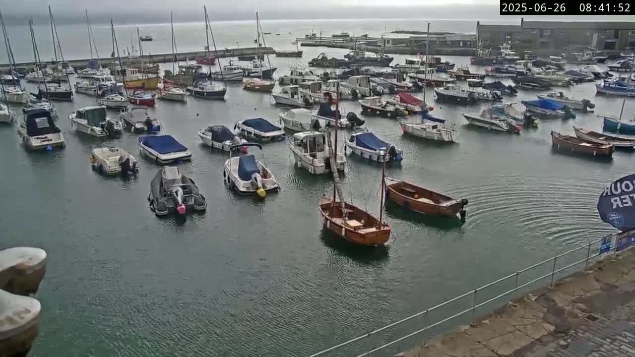 A harbor filled with numerous boats of varying sizes under an overcast sky.