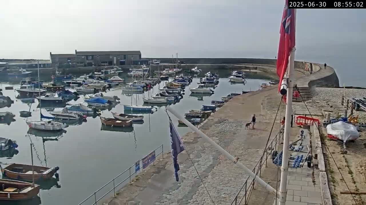 A harbor filled with numerous small boats on a calm, hazy day.