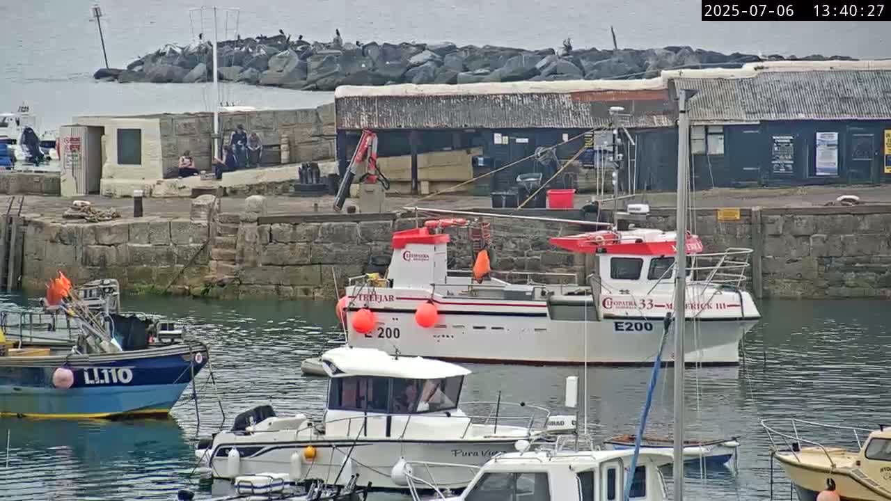 Lyme Regis Harbour Live Cam - Lyme Regis, Dorset, South West, England, United Kingdom