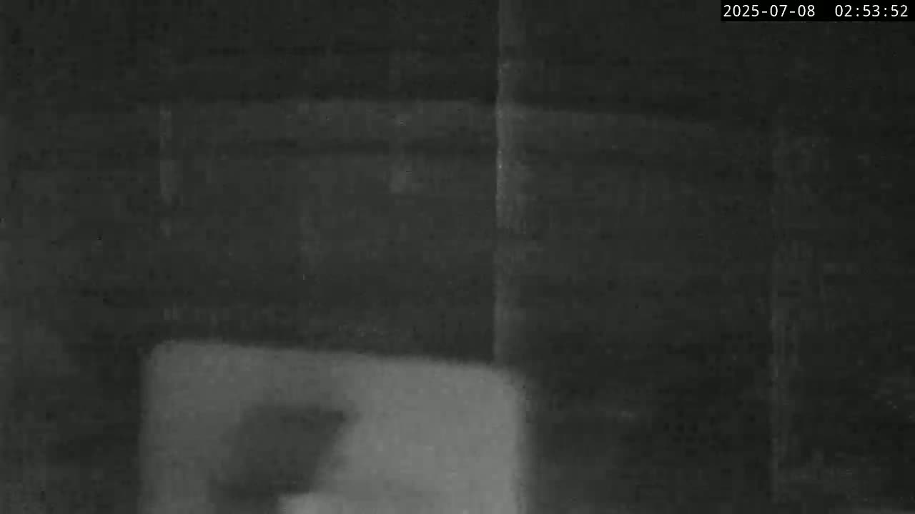 Lyme Regis Harbour Live Cam - Lyme Regis, Dorset, South West, England, United Kingdom