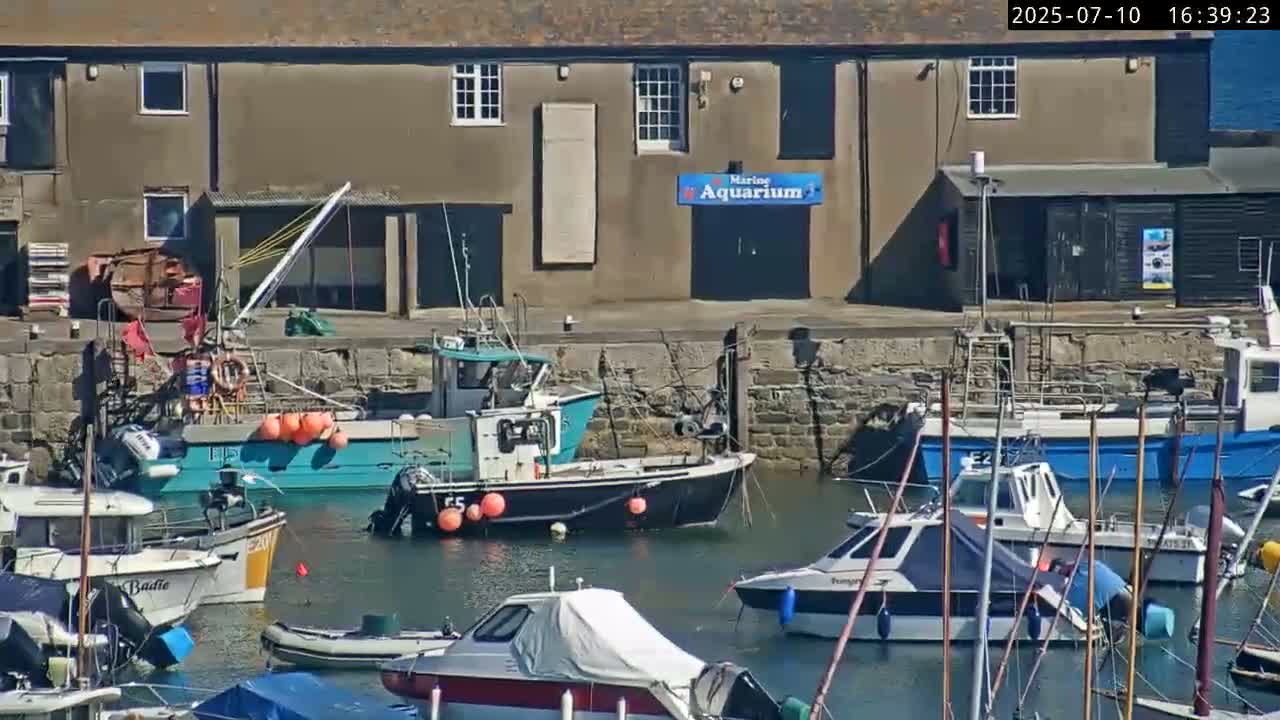 Lyme Regis Harbour Live Cam - Lyme Regis, Dorset, South West, England, United Kingdom