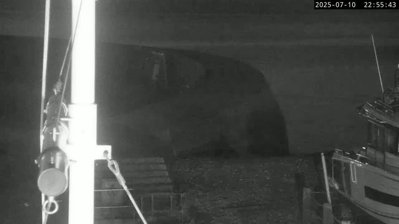 Lyme Regis Harbour Live Cam - Lyme Regis, Dorset, South West, England, United Kingdom