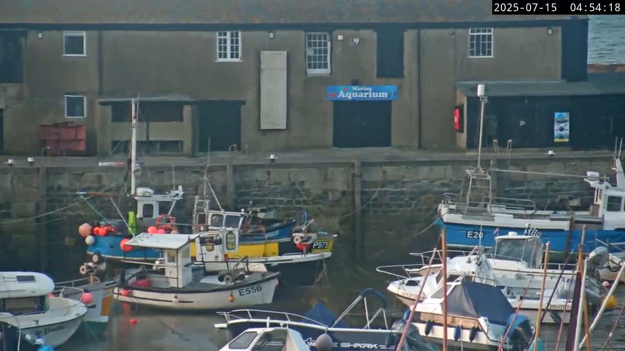 Lyme Regis Harbour Live Cam - Lyme Regis, Dorset, South West, England, United Kingdom
