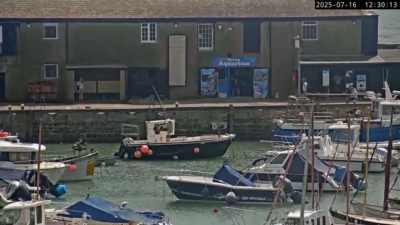 Lyme Regis Harbour Live Cam - Lyme Regis, Dorset, South West, England, United Kingdom