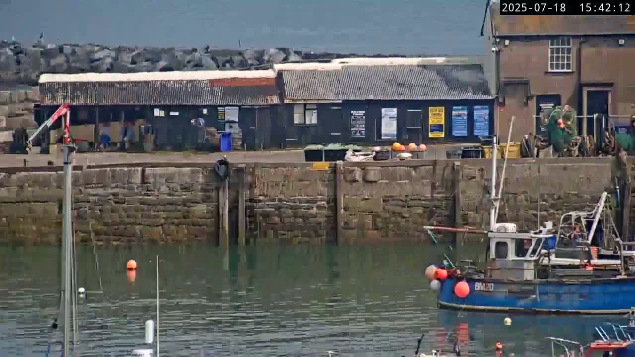 Lyme Regis Harbour Live Cam - Lyme Regis, Dorset, South West, England, United Kingdom