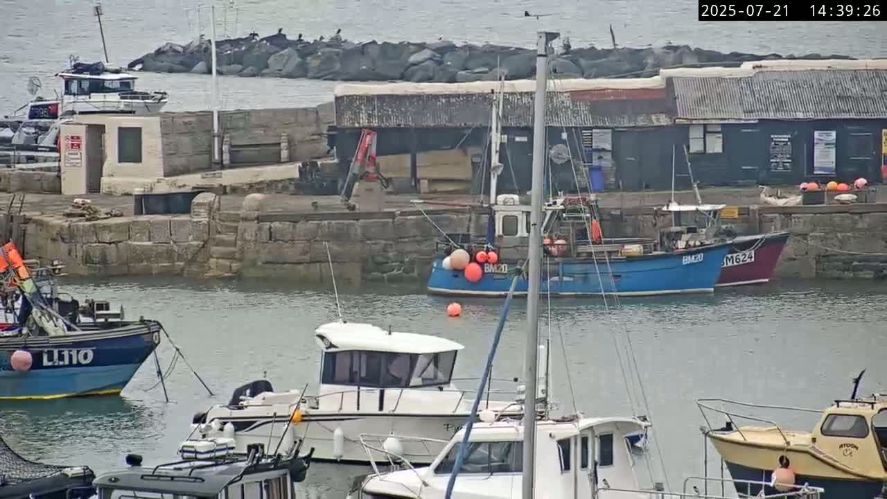 Lyme Regis Harbour Live Cam - Lyme Regis, Dorset, South West, England, United Kingdom