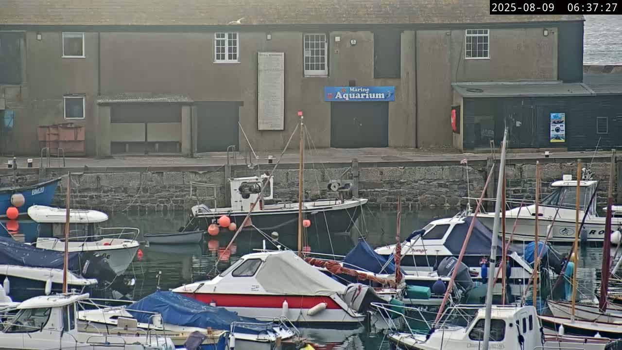 Lyme Regis Harbour Live Cam - Lyme Regis, Dorset, South West, England, United Kingdom