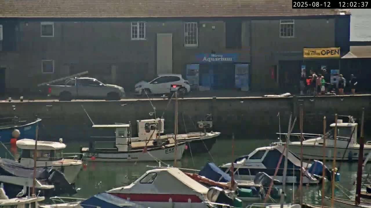 Lyme Regis Harbour Live Cam - Lyme Regis, Dorset, South West, England, United Kingdom