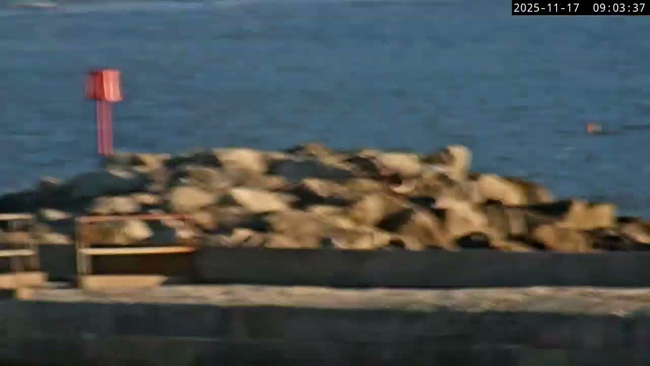 Lyme Regis Harbour Live Cam - Lyme Regis, Dorset, South West, England, United Kingdom