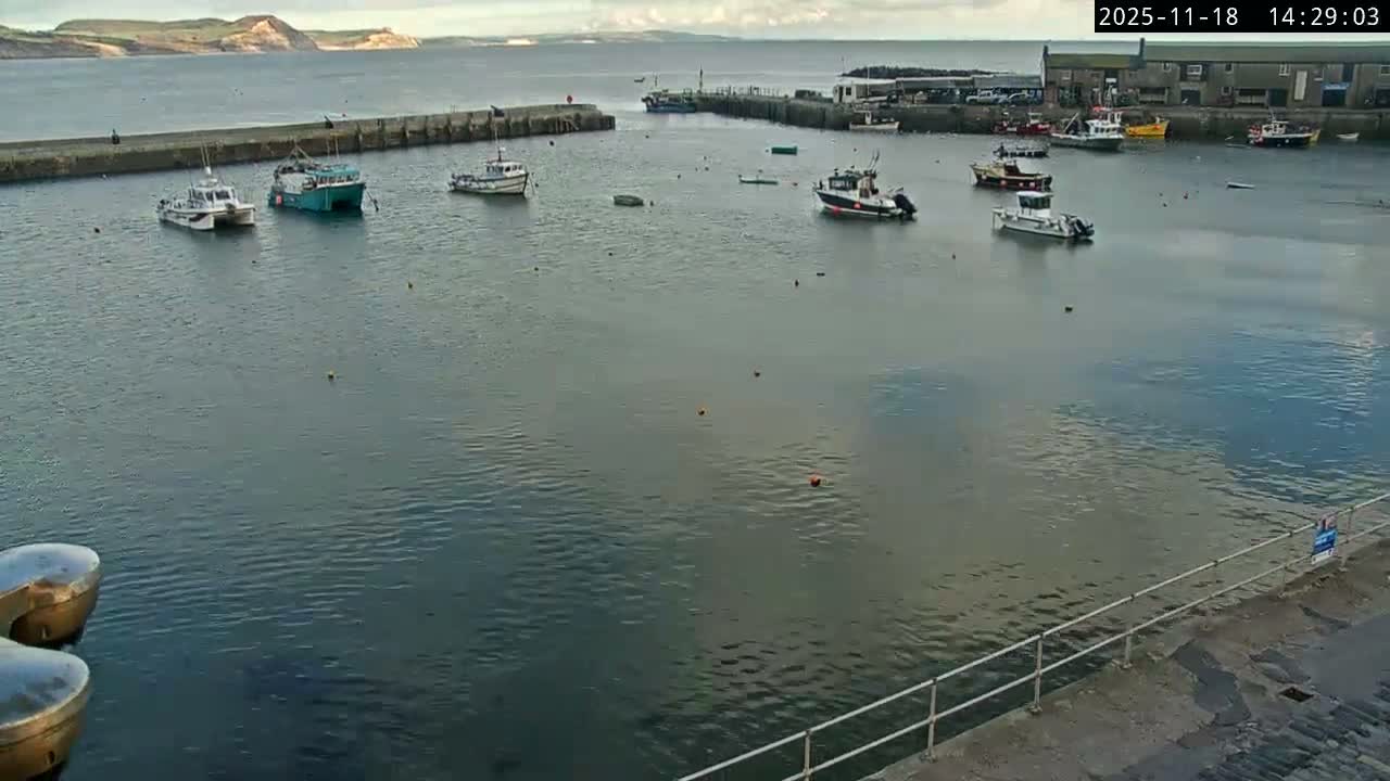 Numerous boats, many covered, are parked along a sandy shore next to calm, grey water under an overcast sky.