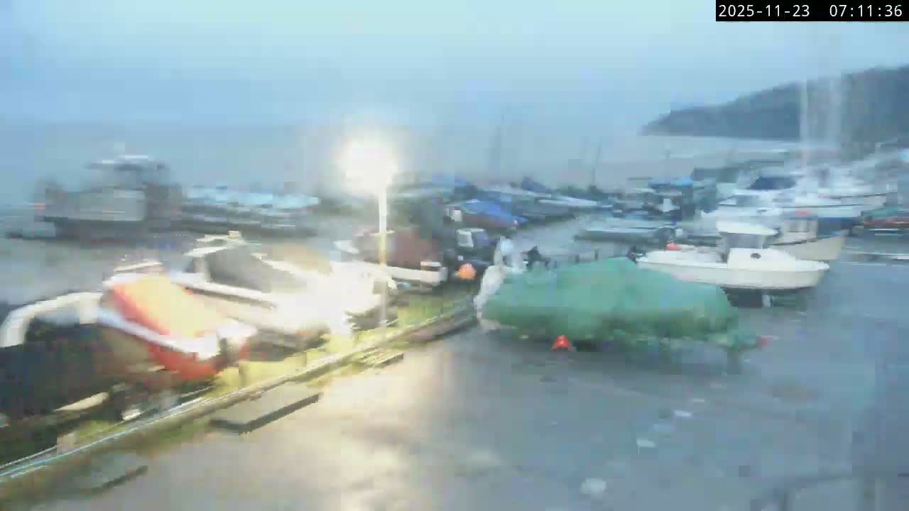 Lyme Regis Harbour Live Cam - Lyme Regis, Dorset, South West, England, United Kingdom