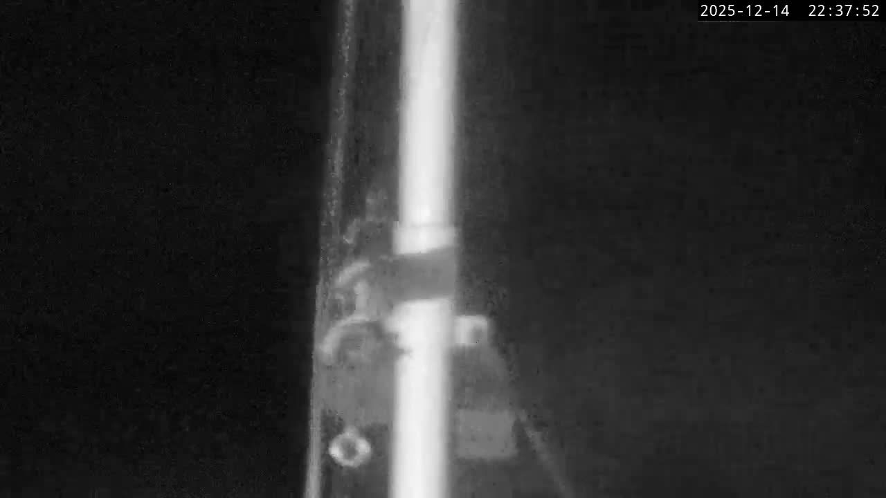 Small boats are moored in a harbor next to a stone pier featuring a cannon, under a grey and overcast sky.