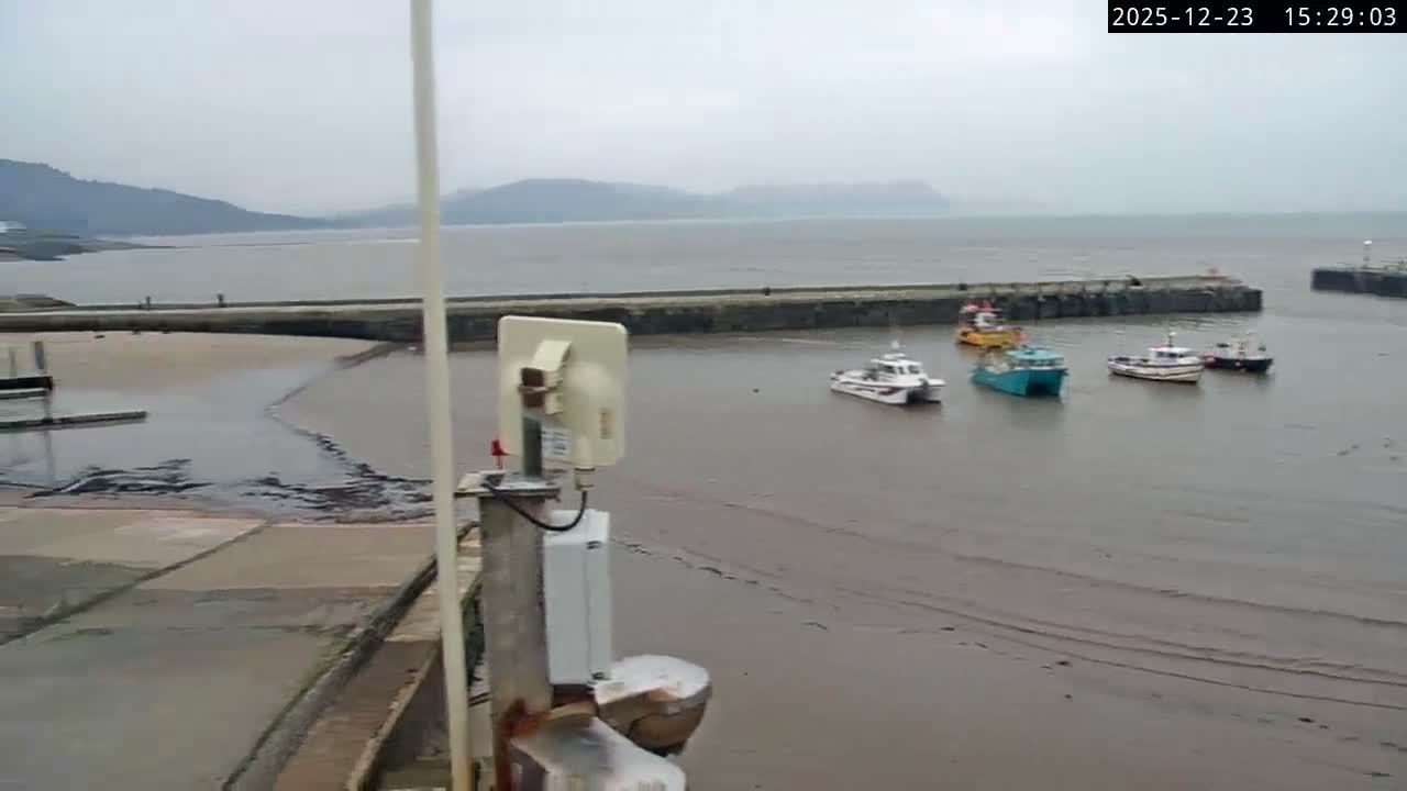 Lyme Regis Harbour Live Cam - Lyme Regis, Dorset, South West, England, United Kingdom