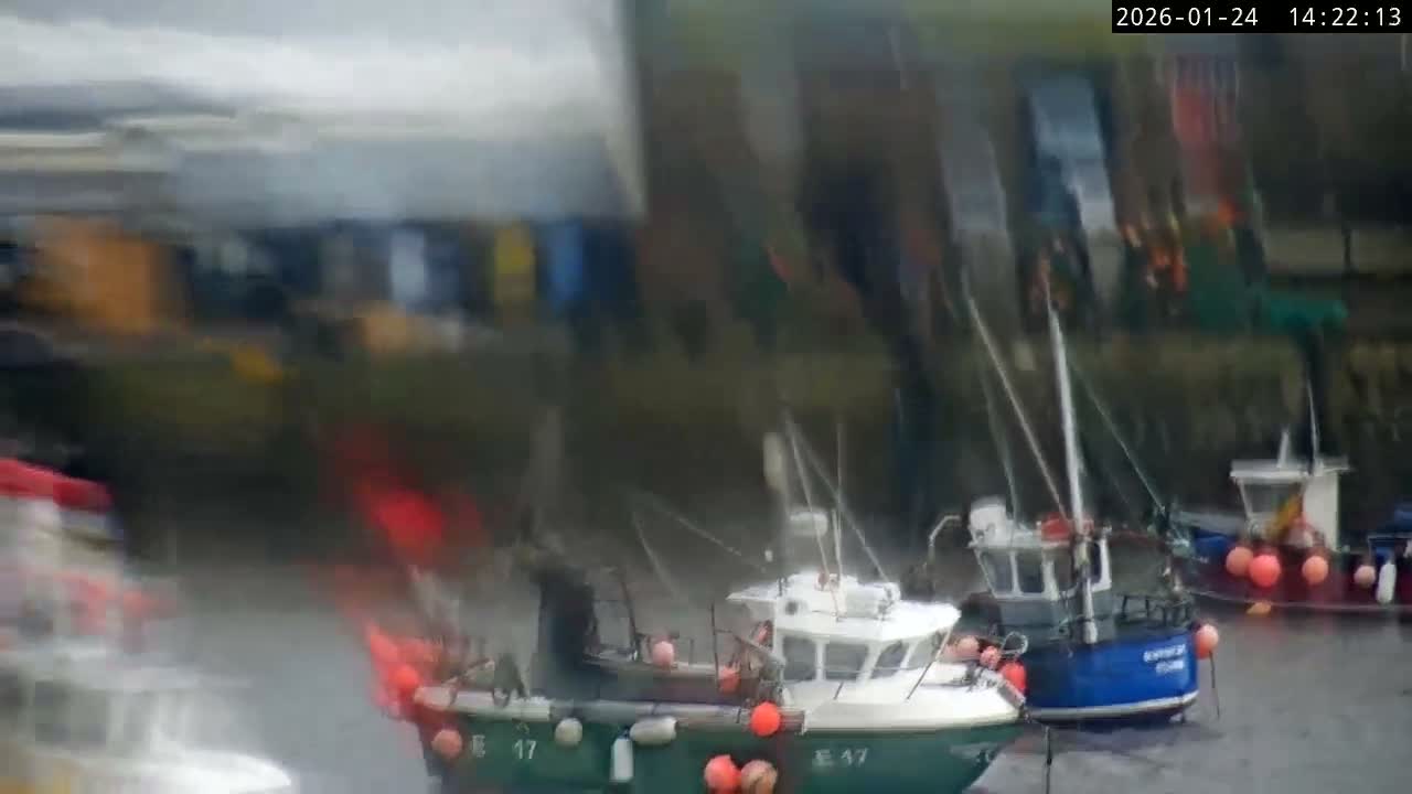 Lyme Regis Harbour Live Cam - Lyme Regis, Dorset, South West, England, United Kingdom