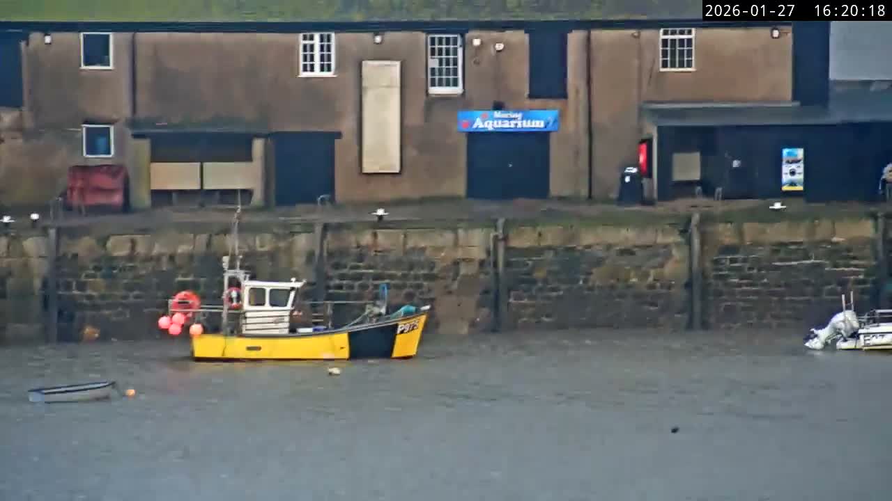 Lyme Regis Harbour Live Cam - Lyme Regis, Dorset, South West, England, United Kingdom