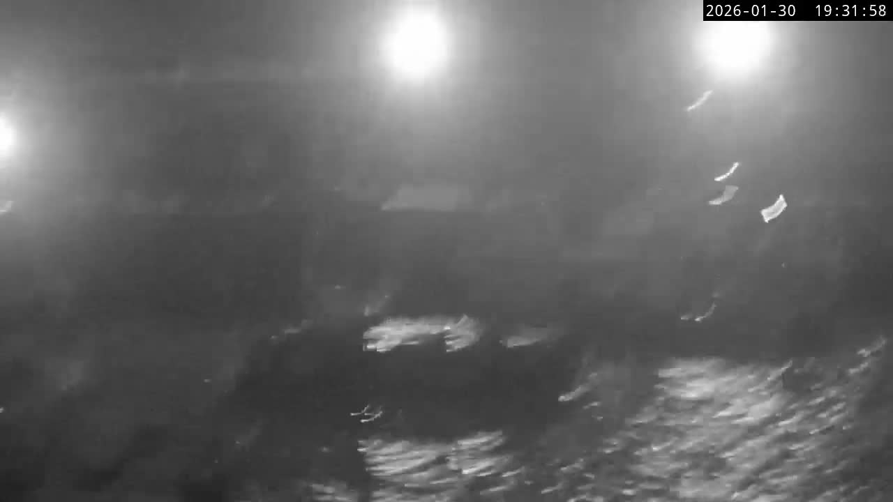 Lyme Regis Harbour Live Cam - Lyme Regis, Dorset, South West, England, United Kingdom