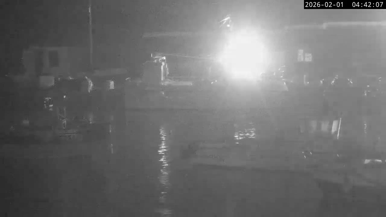 Lyme Regis Harbour Live Cam - Lyme Regis, Dorset, South West, England, United Kingdom