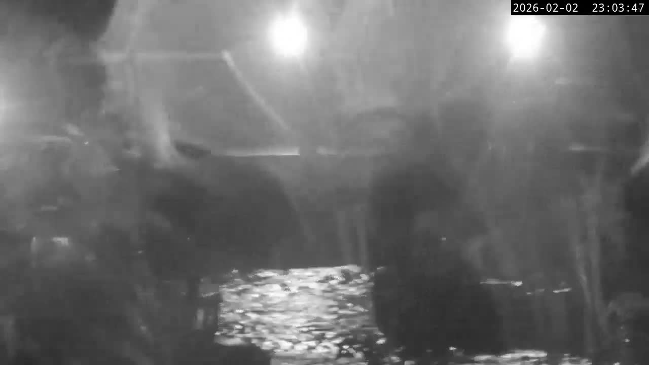 Lyme Regis Harbour Live Cam - Lyme Regis, Dorset, South West, England, United Kingdom