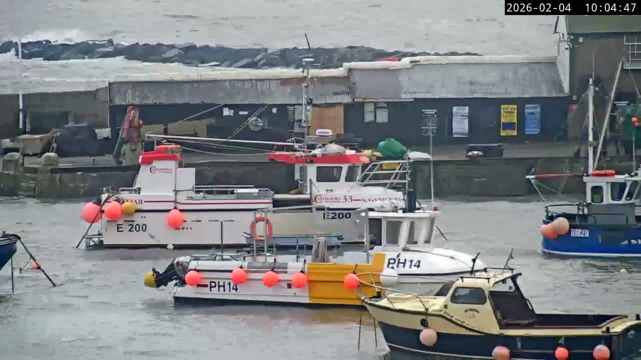 Lyme Regis Harbour Live Cam - Lyme Regis, Dorset, South West, England, United Kingdom