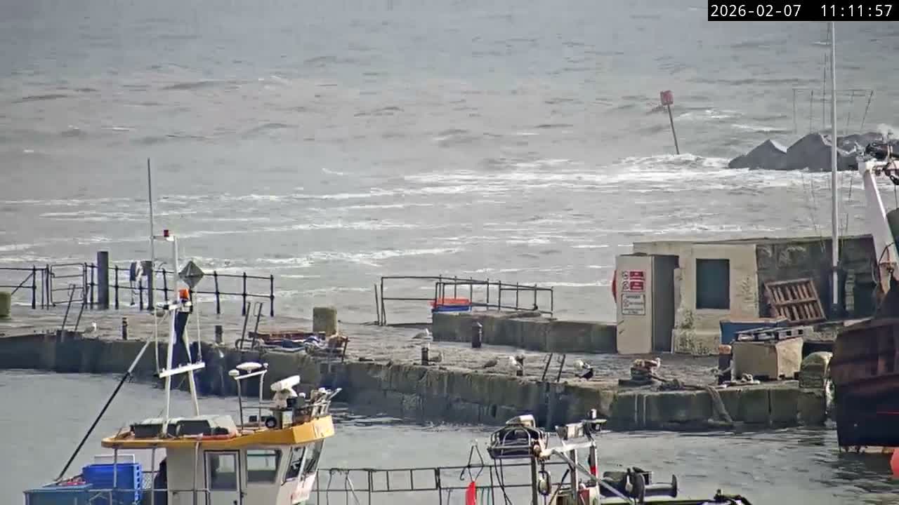 Lyme Regis Harbour Live Cam - Lyme Regis, Dorset, South West, England, United Kingdom