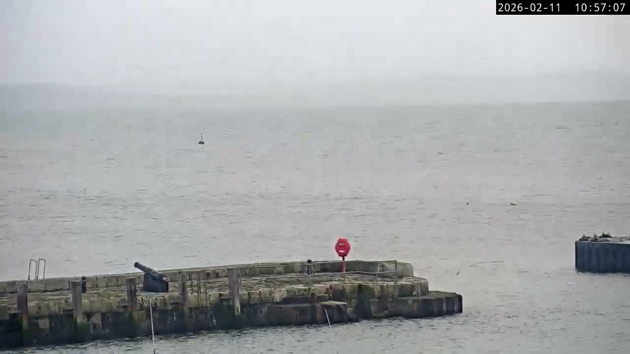 Lyme Regis Harbour Live Cam - Lyme Regis, Dorset, South West, England, United Kingdom