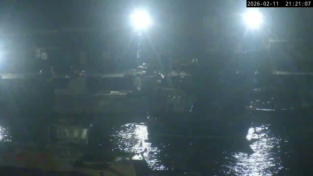 Lyme Regis Harbour Live Cam - Lyme Regis, Dorset, South West, England, United Kingdom