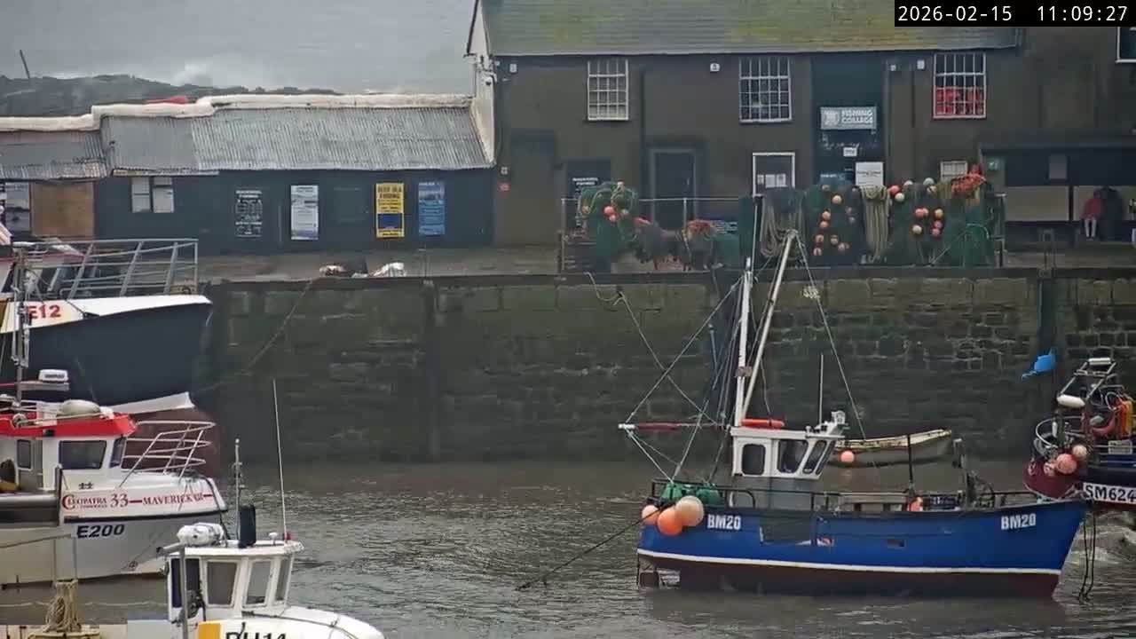 Lyme Regis Harbour Live Cam - Lyme Regis, Dorset, South West, England, United Kingdom