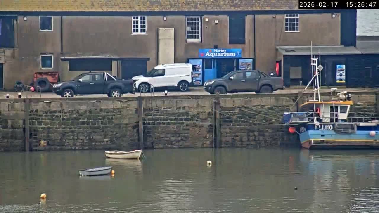 Lyme Regis Harbour Live Cam - Lyme Regis, Dorset, South West, England, United Kingdom