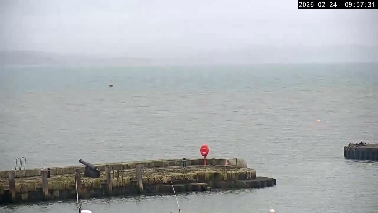 Lyme Regis Harbour Live Cam - Lyme Regis, Dorset, South West, England, United Kingdom