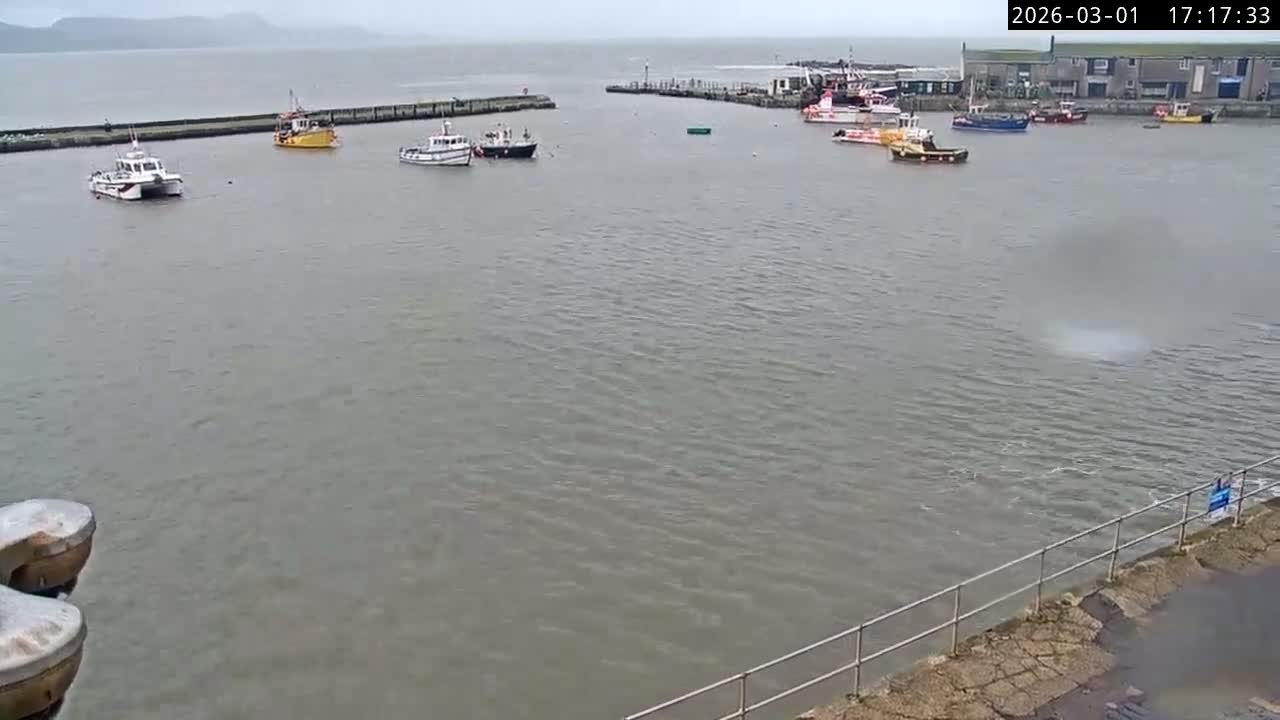 Lyme Regis Harbour Live Cam - Lyme Regis, Dorset, South West, England, United Kingdom