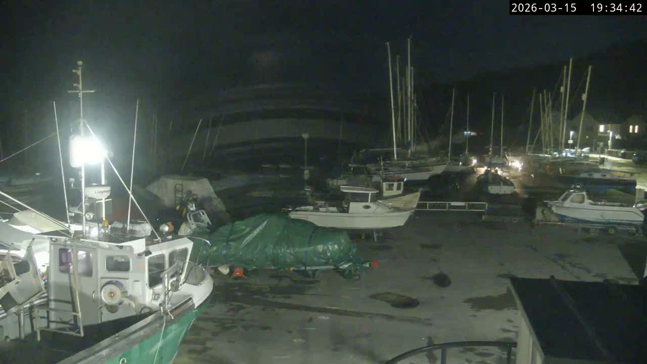 Lyme Regis Harbour Live Cam - Lyme Regis, Dorset, South West, England, United Kingdom