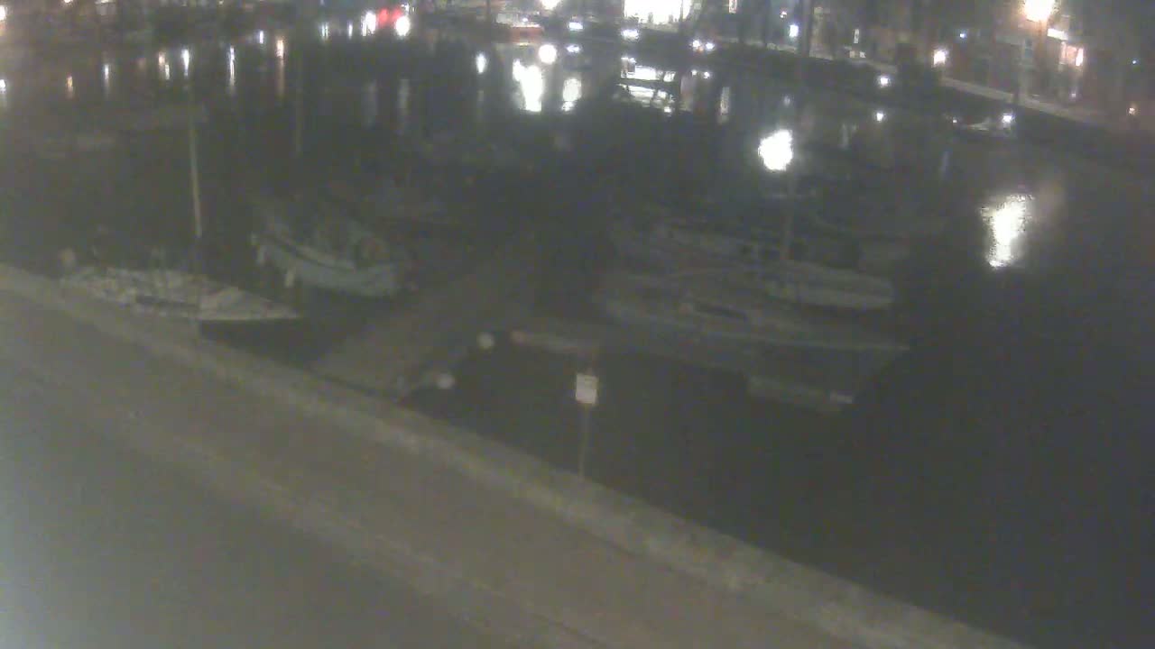 Several boats are moored at a dock at night, under calm water.