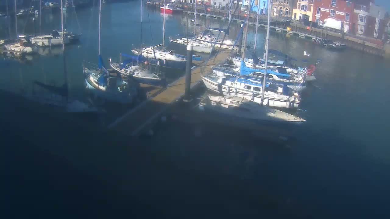 Numerous sailboats are docked at a marina on a sunny day.
